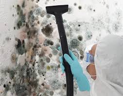 Best Residential Mold Inspection & Testing  in Shenandoah, LA